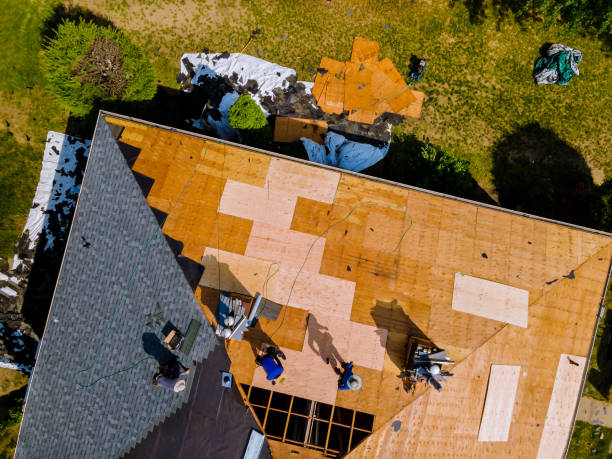 Best Emergency Roof Repair  in Otsego, MI