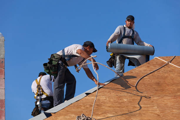 Best Roof Waterproofing Services  in Otsego, MI