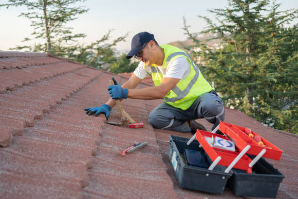 Best Best Roofing Contractors  in Otsego, MI