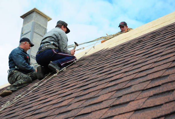 Best Storm Damage Roof Repair  in Otsego, MI